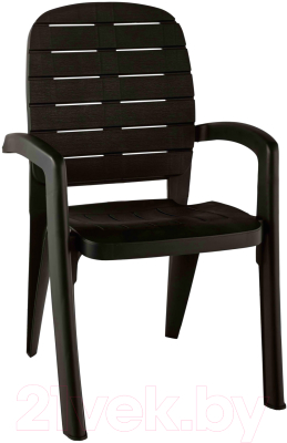 Стул пластиковый Ellastik Plast Прованс 58x46.5x90 (шоколад) - фото