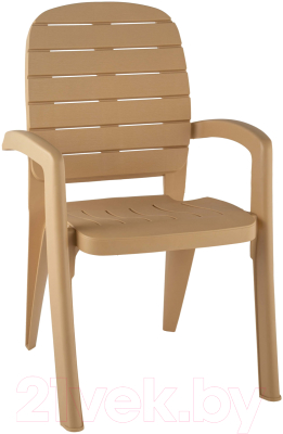 Стул пластиковый Ellastik Plast Прованс 58x46.5x90 (бежевый) - фото
