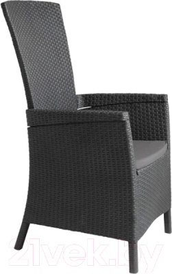 Кресло садовое Keter Vermont / 238452 - фото