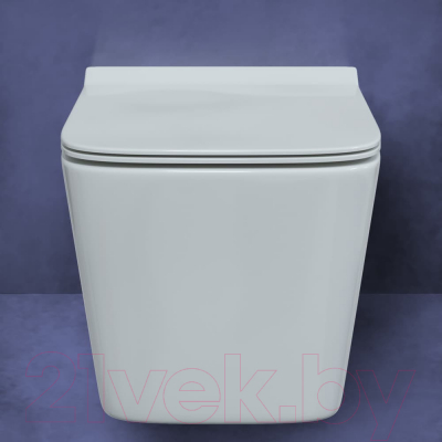 Унитаз подвесной с инсталляцией Berges Floe Rimless / 043223