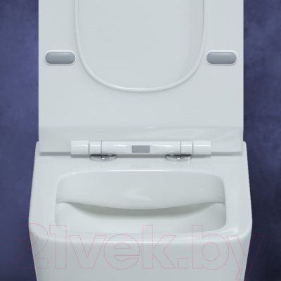 Унитаз подвесной с инсталляцией Berges Floe Rimless / 043223