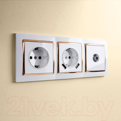 Рамка для выключателей и розеток Werkel W0031933 / a051644