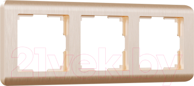 Рамка для выключателей и розеток Werkel W0032111 / a051274 - фото