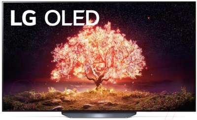 Телевизор LG OLED65B1RLA