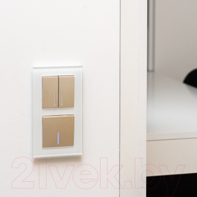 Выключатель Werkel W1110110 / a051413