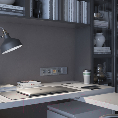 Розетка Werkel W1271106 / a052076