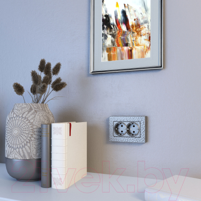 Розетка Werkel W1272006 / a052074