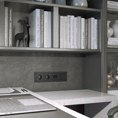 Розетка Werkel W1271108 / a052052