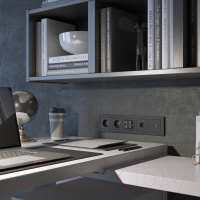 Розетка Werkel W1271108 / a052052