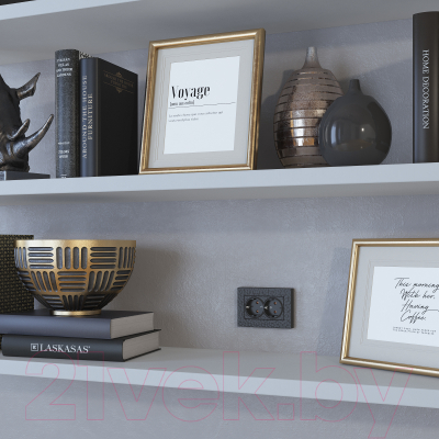 Розетка Werkel W1272008 / a052050