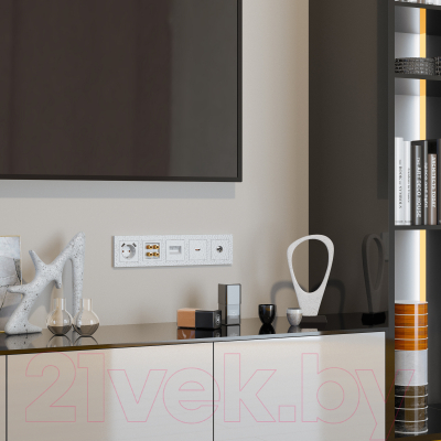 Розетка Werkel W1283001 / a052036