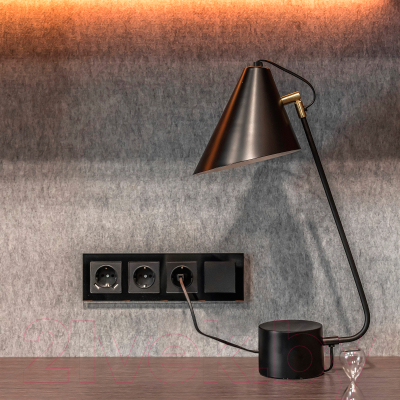 Розетка Werkel W1171008 / a051600