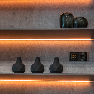 Розетка Werkel W1171008 / a051600