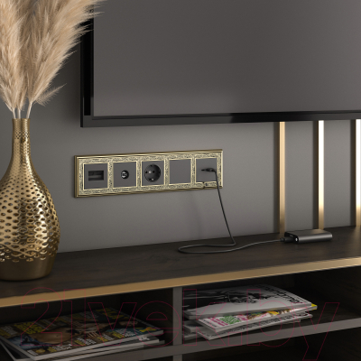 Декоративная заглушка для розетки Werkel W1159208 / a051597