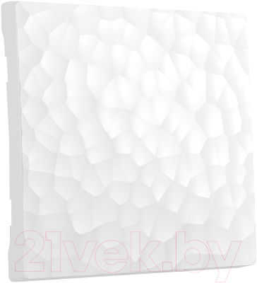 Клавиша для выключателя Werkel W1219001 / a052029 - фото