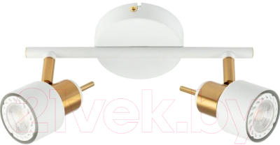 Потолочный светильник Arte Lamp Almach A1906PL-2WH - фото