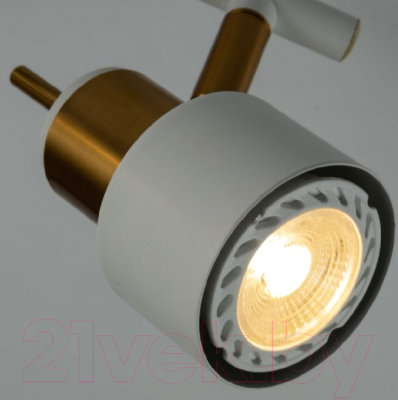 Потолочный светильник Arte Lamp Almach A1906PL-2WH