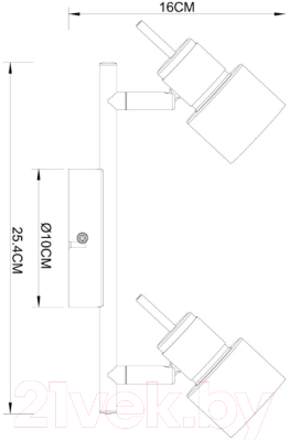 Потолочный светильник Arte Lamp Almach A1906PL-2WH