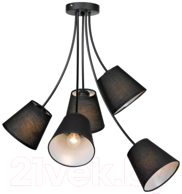 Люстра Lussole Lgo Lafayette LSP-8266 - фото