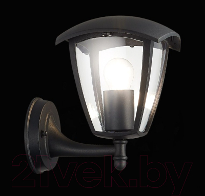 Бра уличное ST Luce Sivino SL081.401.01