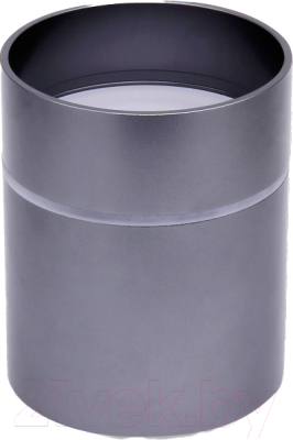 Точечный светильник Ambrella TN254 SBB - фото