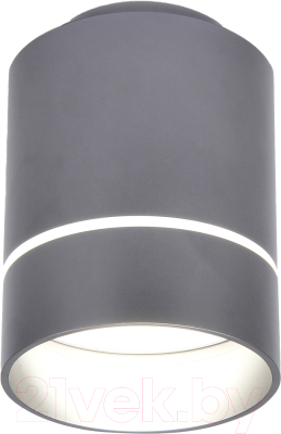 Точечный светильник Ambrella TN254 SBB