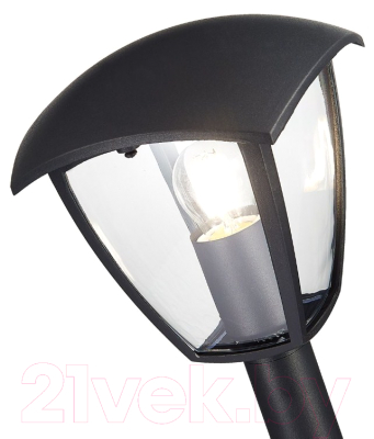 Светильник уличный ST Luce SL081.405.01