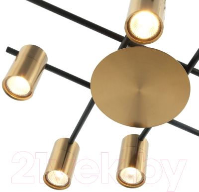 Люстра FAVOURITE Topper 2827-8P