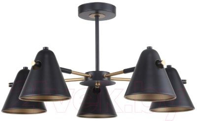 Люстра F-Promo F-Promo Rigor 2844-5P - фото