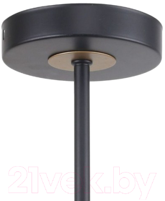 Люстра F-Promo F-Promo Rigor 2844-5P