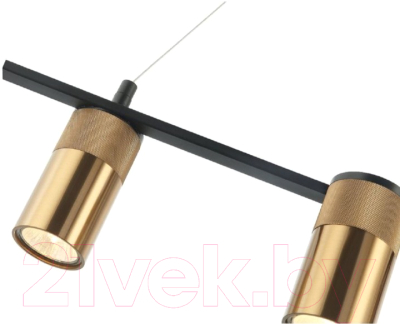 Люстра FAVOURITE Topper 2827-4P