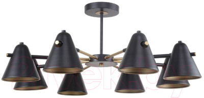 Люстра F-Promo F-Promo Rigor 2844-8P - фото