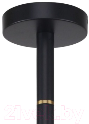 Люстра FAVOURITE Eternity 2766-6P