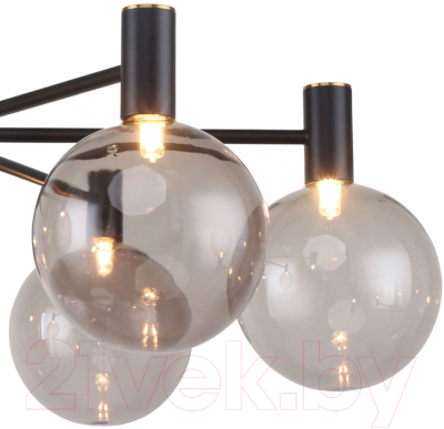 Люстра FAVOURITE Eternity 2766-6P