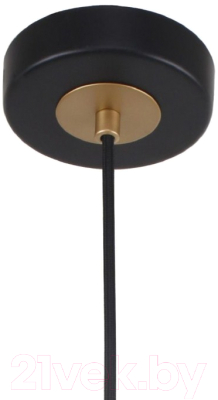 Потолочный светильник F-Promo F-Promo Rigor 2844-1P