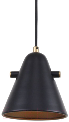 Потолочный светильник F-Promo F-Promo Rigor 2844-1P