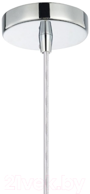 Потолочный светильник FAVOURITE Aestetic 2819-1P