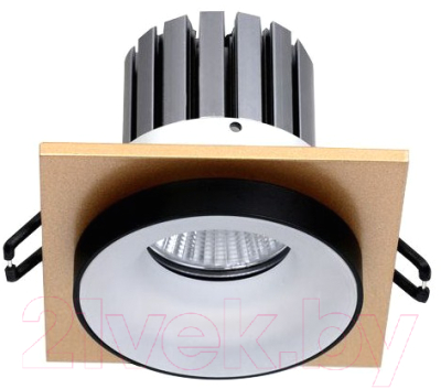 Точечный светильник FAVOURITE Diversa 2887-1C - фото