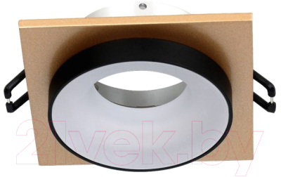 Точечный светильник FAVOURITE Diversa 2887-1C