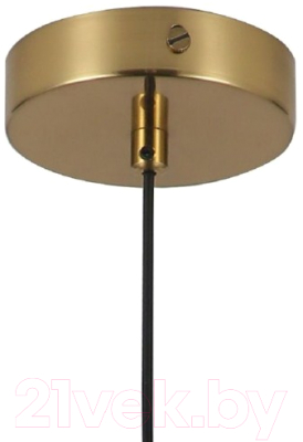 Потолочный светильник FAVOURITE Copita 2777-1P