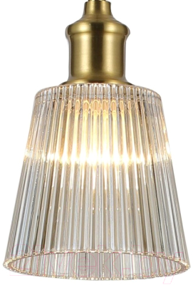 Потолочный светильник FAVOURITE Copita 2777-1P