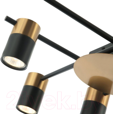 Люстра FAVOURITE Topper 2825-8P