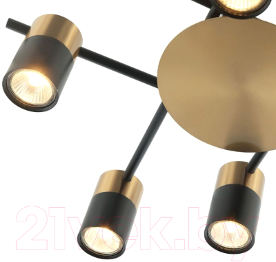 Люстра FAVOURITE Topper 2825-8P