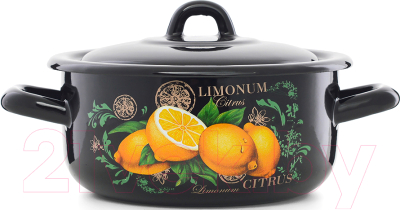 Кастрюля ЭСТЕТ Цитрус / ЭТ-72901 - фото