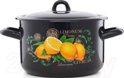 Кастрюля ЭСТЕТ Цитрус / ЭТ-72902 - фото
