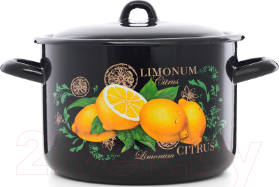 Кастрюля ЭСТЕТ Цитрус / ЭТ-72903 - фото