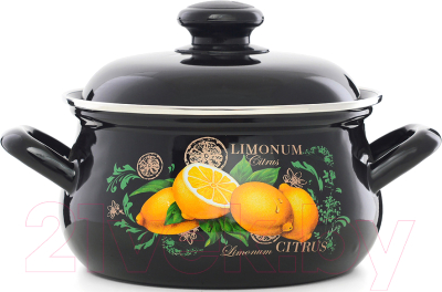 Кастрюля ЭСТЕТ Цитрус / ЭТ-72860 - фото