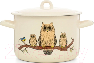Кастрюля ЭСТЕТ Совы / ЭТ-72999 - фото