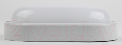 Светильник ЖКХ ЭРА SPB-202-0-40K-008 / Б0047617