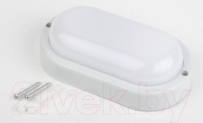 Светильник ЖКХ ЭРА SPB-202-0-40K-008 / Б0047617